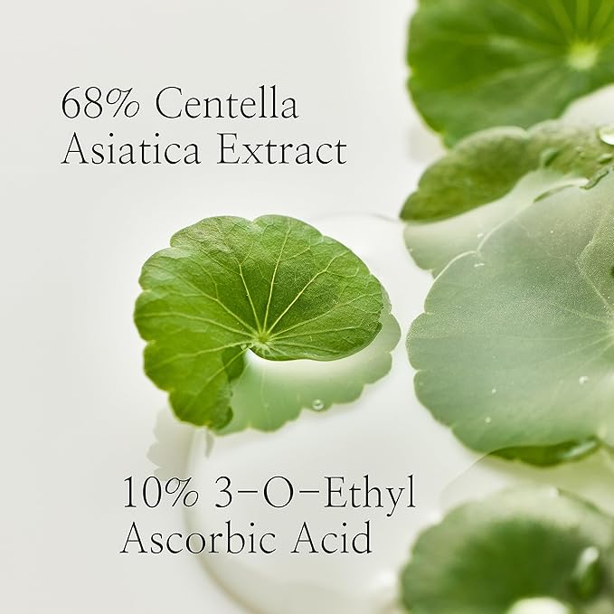 Beauty of Joseon Light On Serum Vitamin C Centella Dark Spot Fine Lines Pigmentation Correcting Serum